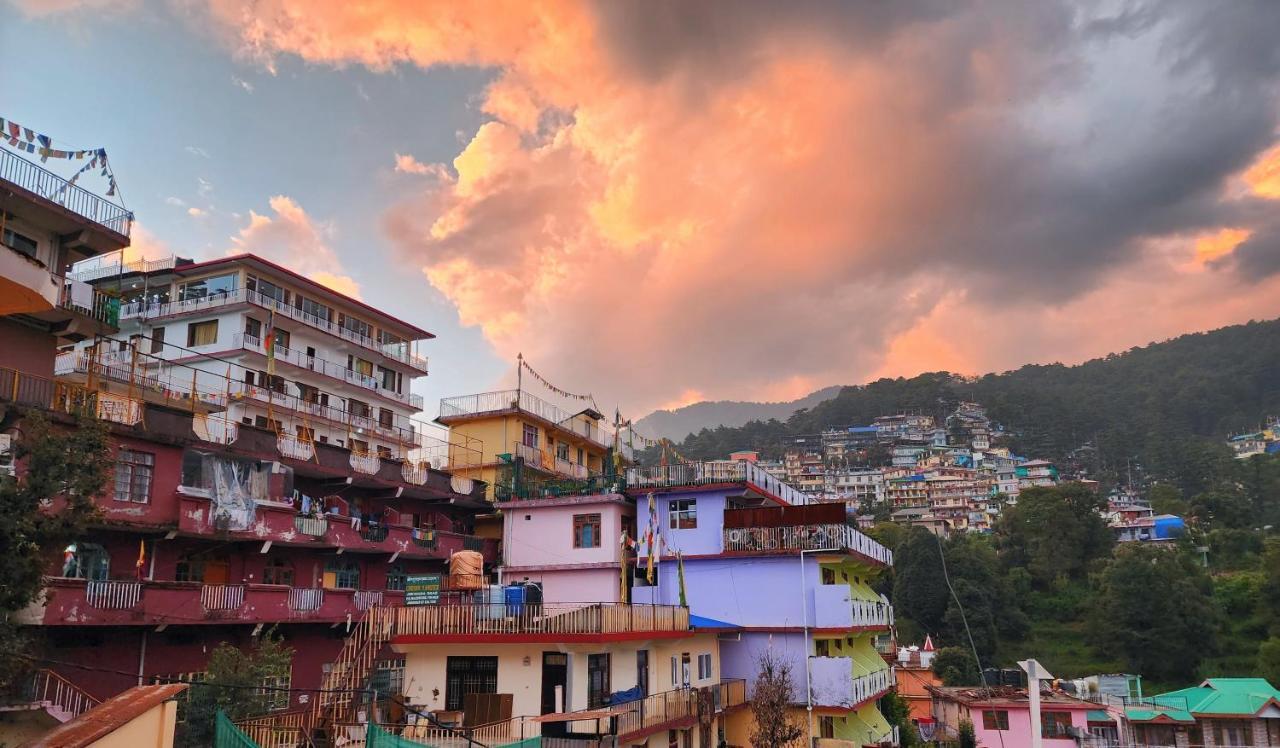 דרמסאלה The Bougainvillea, Mcleodganj מראה חיצוני תמונה